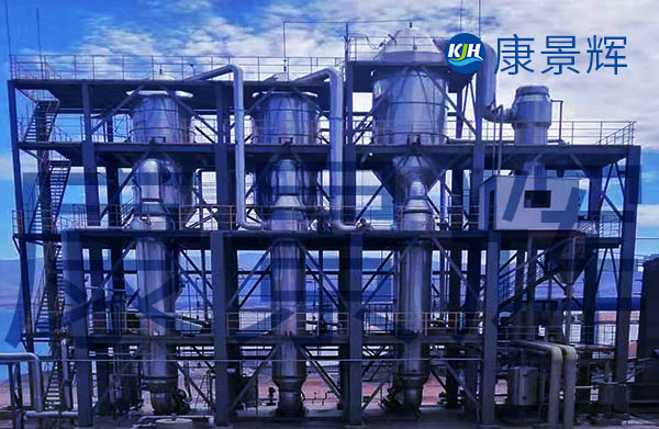 3t/h丁二酸三效蒸發(fā)器